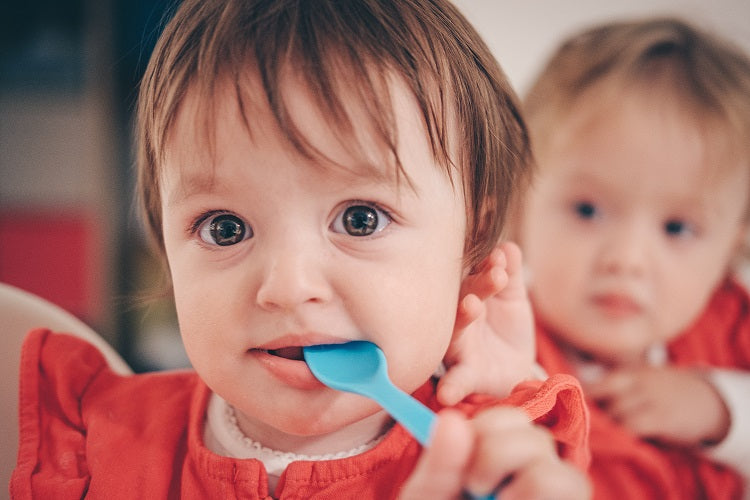 Plant Based Baby’s Cashew and Lentil Bake Recipe