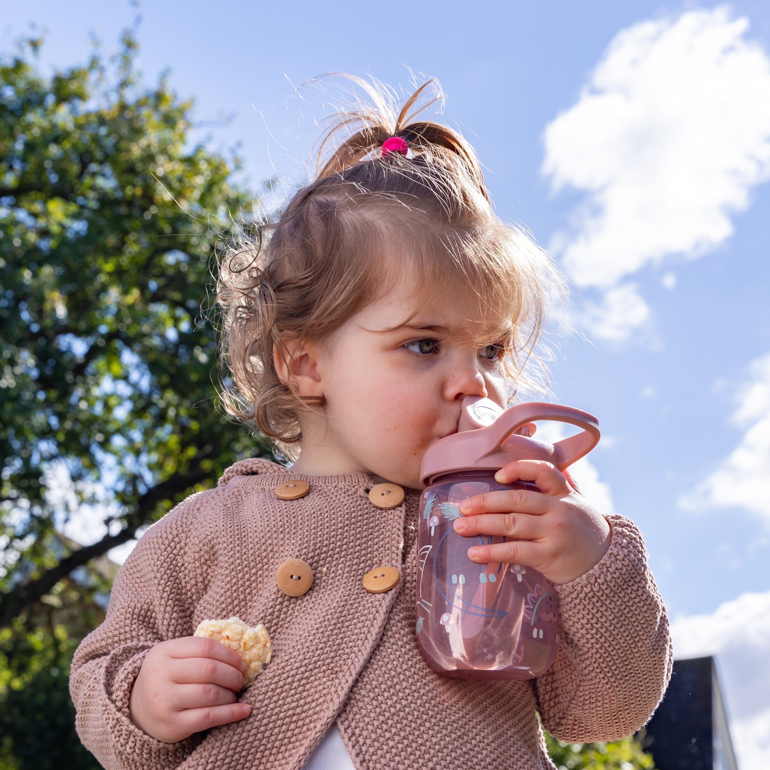 sippy straw 2pk